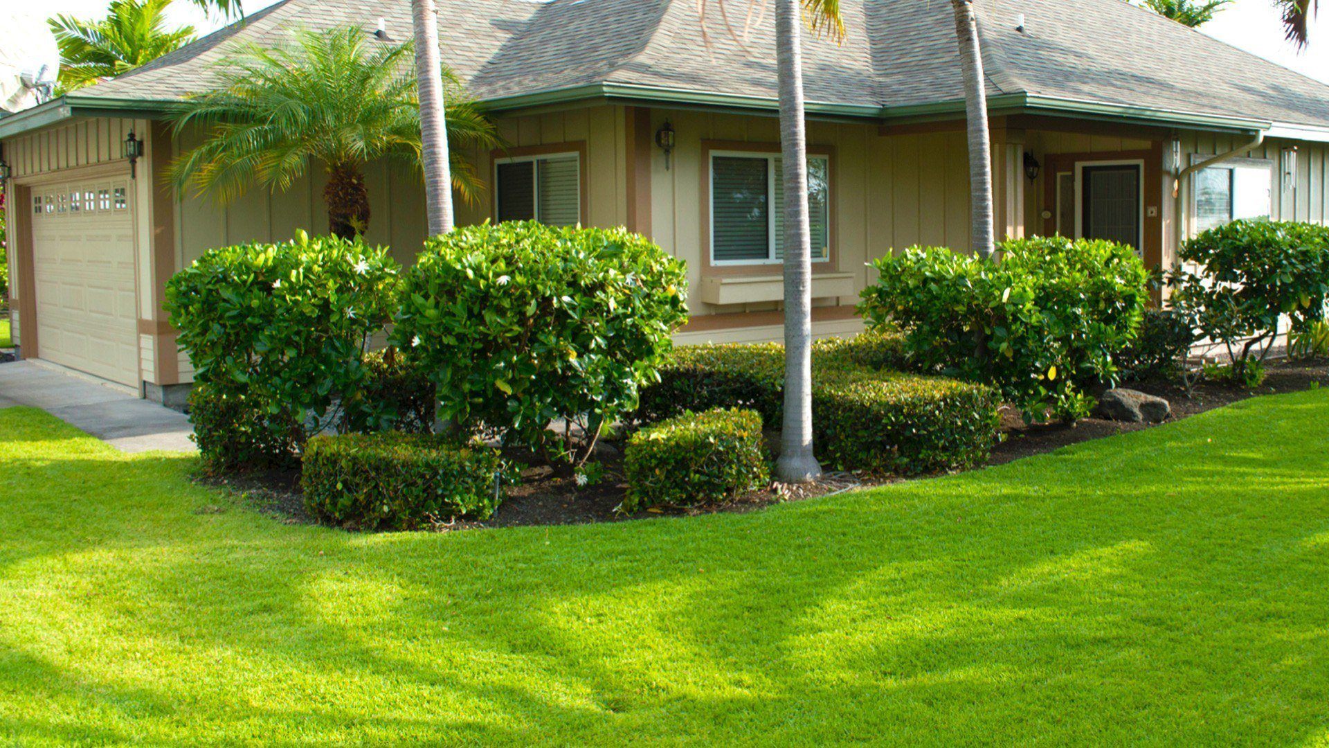 Photo of a Hawaii island lawn that was maintained with a sprinkler or irrigation system.