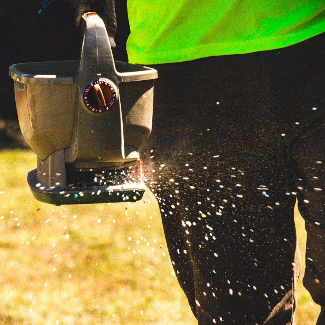 local Hawaii lawn specialist spreading fertilizer during lawncare service near Kailua-Kona, HI.