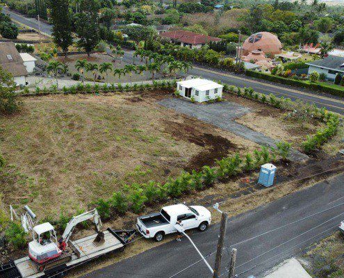 kona landscaping service performing a local palm shrub installation in hawaii.