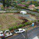 kona landscaping service performing a local palm shrub installation in hawaii.