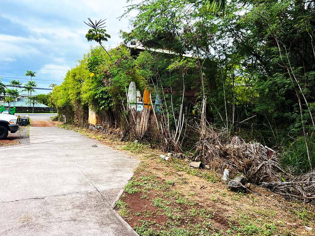 Kailua-Kona property line overgrown with trees and bamboo.