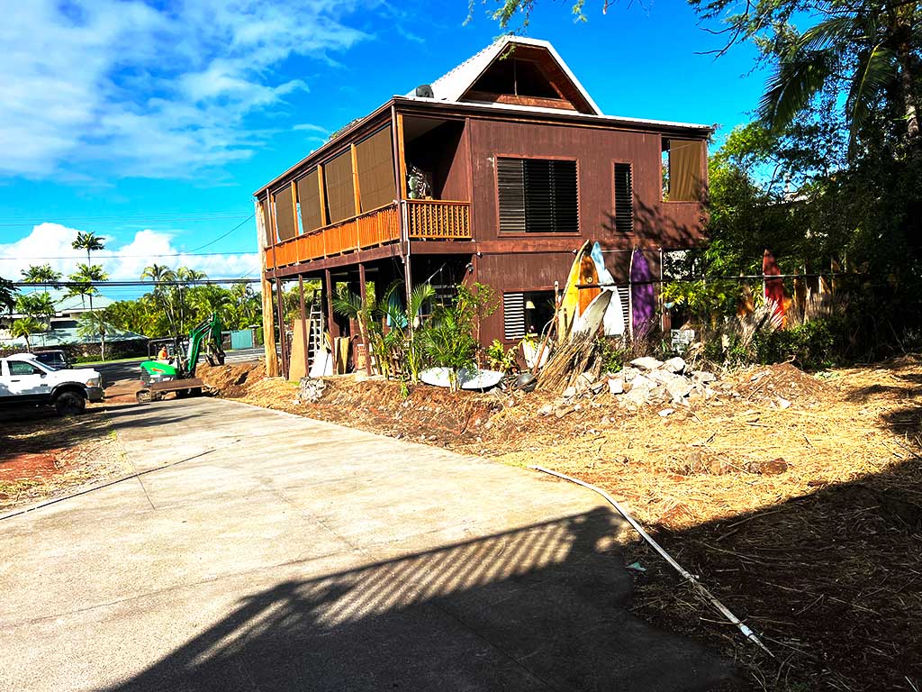 After image of trees and bamboo removed from residential property line.