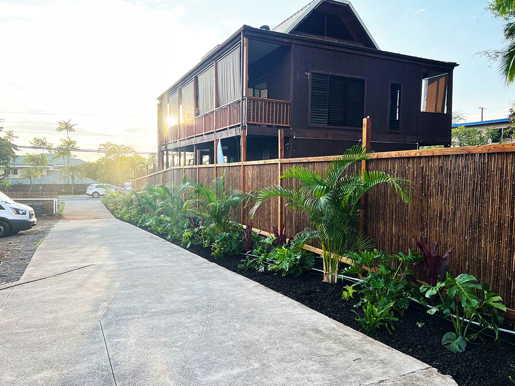 Final image of a landscape with local plants, aggregate, and fence installed.