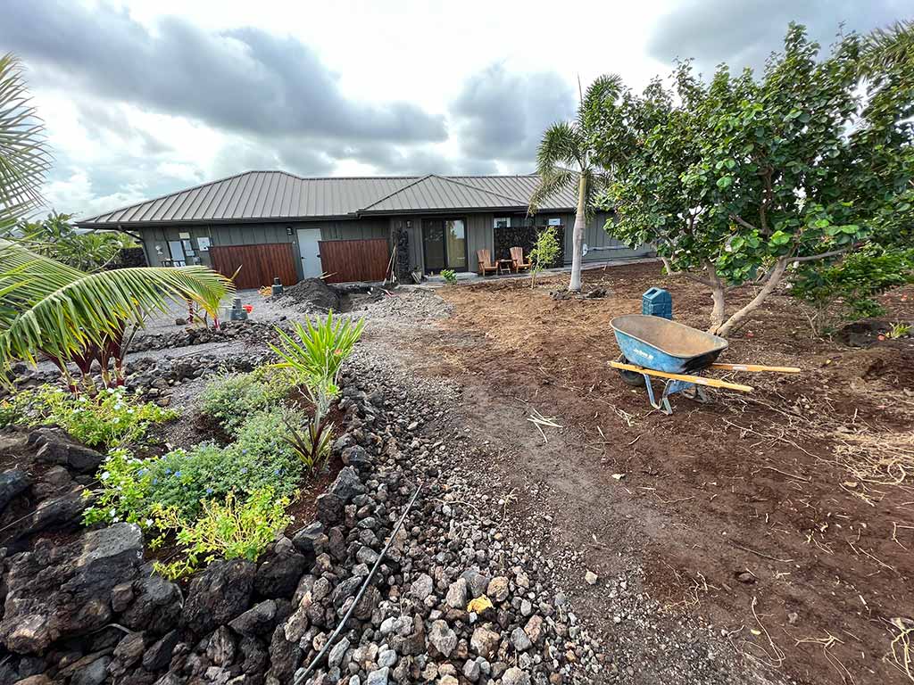 Landscapers clean-up unwanted plants and debris from the backyard.