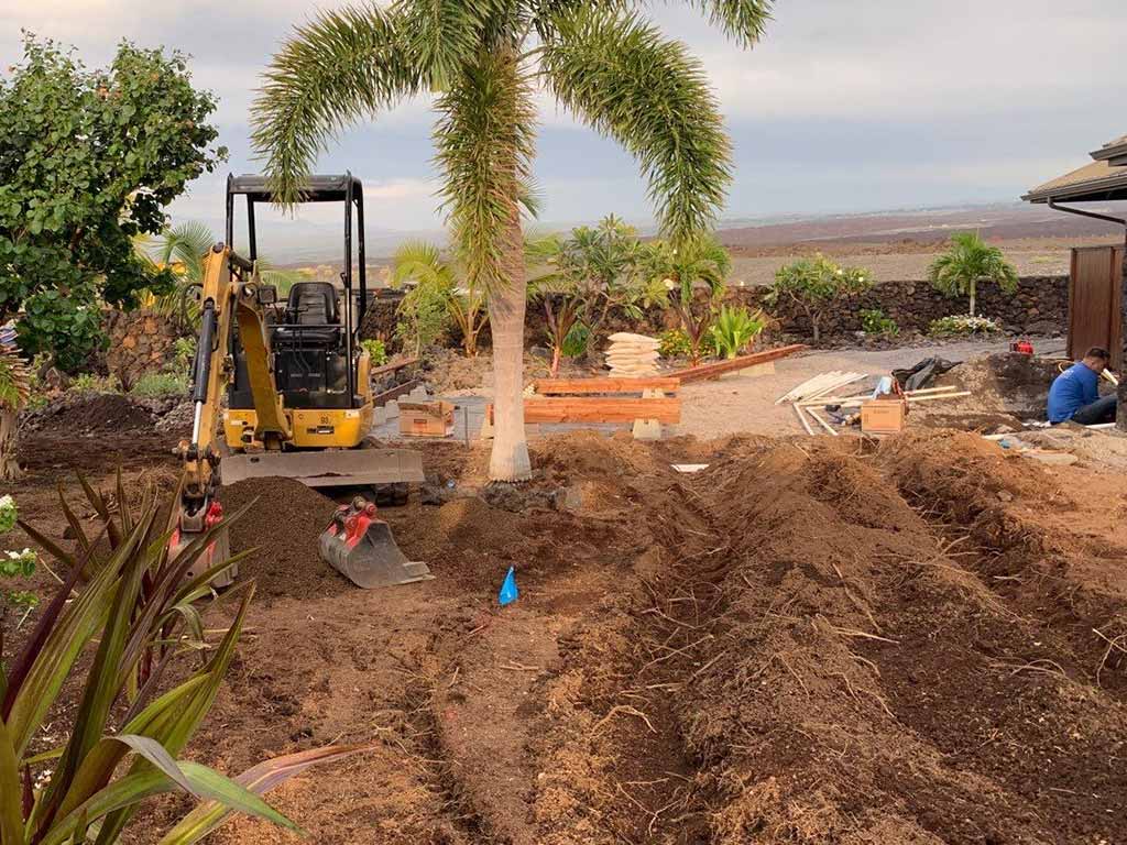 Excavator leveling, grading, and clearing away unwanted plants.