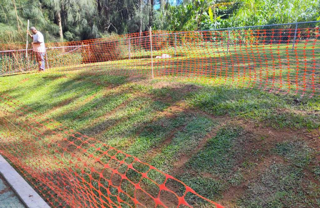 Landscapers install barrier fence around new turf for protection.