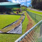 King Kamehameha Preschool playground lawn repair by Aina Landscaping.