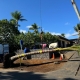 Hawaiian coconut tree being placed during a Kukio landscape project with a crane.