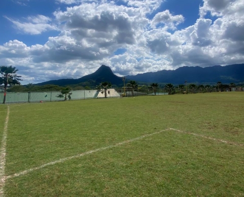 Grass growing after 3-5 days of reseeding services by Aina Landscaping.