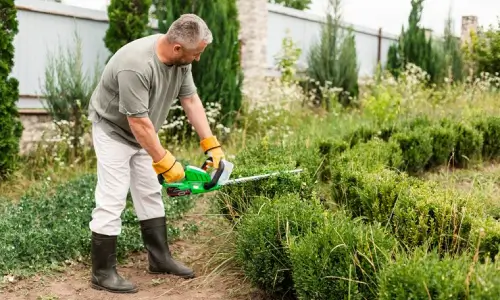 local Hawaii lawn mowing service and lawn maintenance for a yard in the Kailua-Kona area. Best Hawaii landscape services