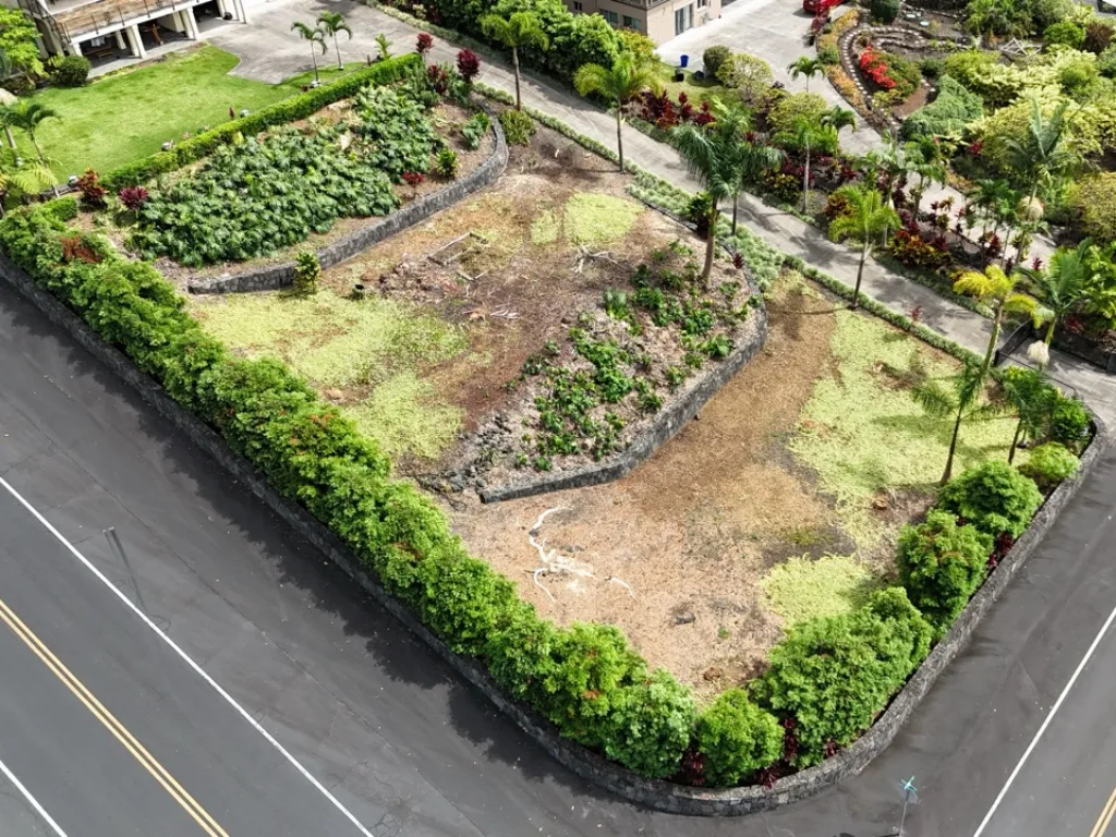 Before starting the project, grounds clean-up was required to remove tree stumps and weeds.