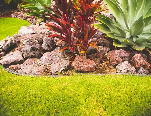 Firewise landscaping in Kailua-Kona with a gravel and stone border creates a non-combustible barrier to help reduce the fire risk from burning debris.