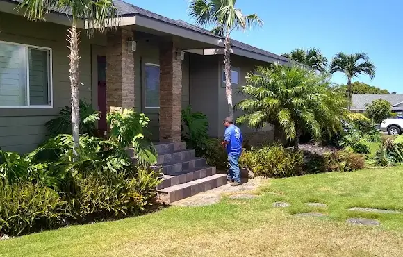 Big island landscape professional cleans up dry grass and leaves to lower the risk of fire for a Kailua-Kona homeowner.