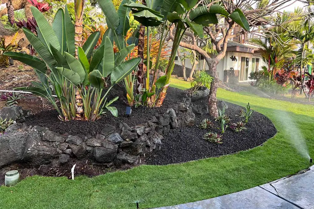 why-pollinators-matter Kailua-Kona landscape that supports local Hawaii pollinators such as Kamehamela butterflies and Hawaiian yellow-faced bees.