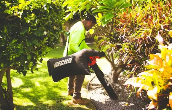A professional Kailua-Kona gardener maintains historical Polynesian canoe plants such as kalo, taro, breadfruit, and ti leaf.