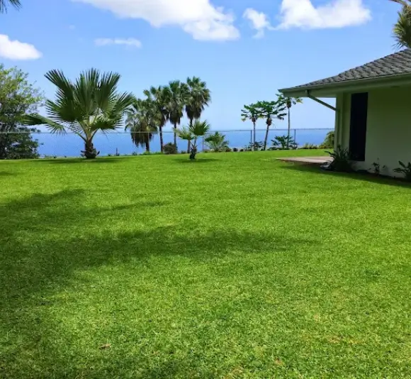 kona-volcanic-rock-terrain-landscaping Tropical backyard lawn overlooking the Pacific ocean, demonstrates successful landscaping over rocky Hawaii ground.