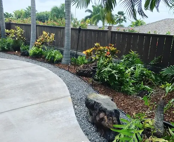 Colorful ti leaf landscape mixed with lush green shrubs and young palms along a wooden fence walkway for decorative tropical appeal.