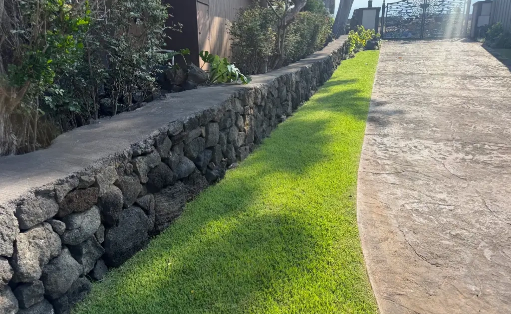 gated-entry-landscape Kailua-Kona commercial landscape services on the Big Island of Hawaii for a gated property includes turf replacement and raised flowerbed installation.