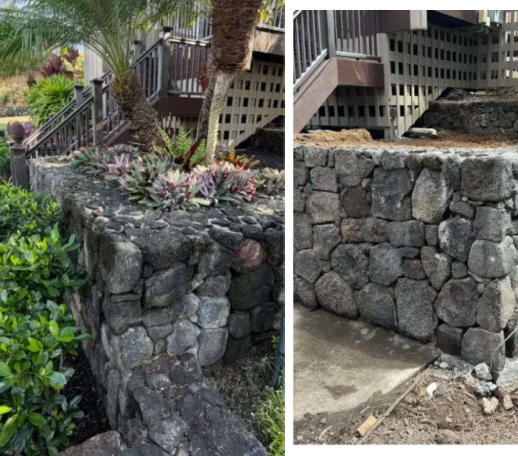 kona-landscape-terrace-garden Example of why Aina-Landscaping is regarded as one of the best landscaping companies in Kailua-Kona, Hawaii. Rock terrace garden before (right) and after (left).