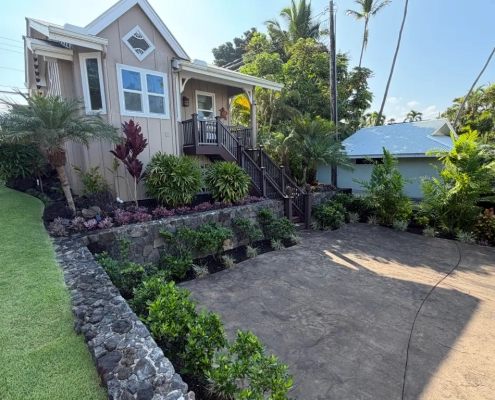 Completed estate landscape renovation in Kailua-Kona with restored lava rock walls, new plantings, and stamped concrete driveway at the ohana house.