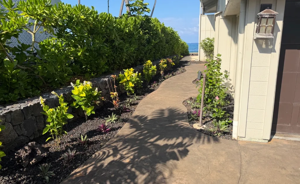 pathway-landscaping-after Finished concrete pathway to the ocean with a lava rock planter bed and new tropical plantings, Kailua-Kona.