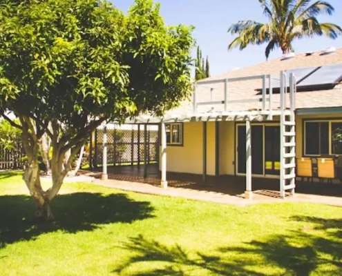 Lush green lawn and mature shade tree beside a sunny Kona home with palm trees, showing healthy summer lawn care on the Big Island of Hawaii.