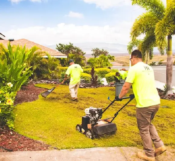why-summer-lawn-care-kona-hawaii-is-unique Aina Landscaping crew dethatching and raking a hillside Kona lawn surrounded by palm trees and tropical plants on the Big Island.
