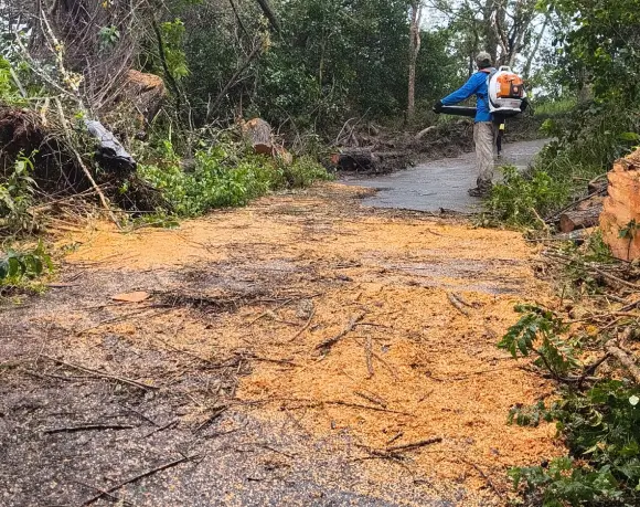 hurricane-debris-cleanup Aina Landscaping crewmember using a backpack blower to clear wood chips and broken branches from a driveway during hurricane debris cleanup on the Big Island