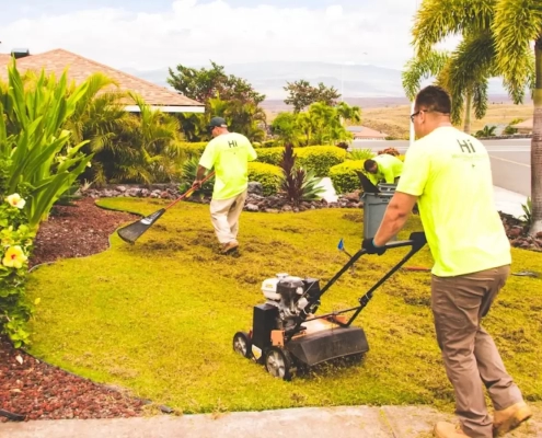 Three Aina Landscaping crewmembers in yellow shirts using a turf machine and rakes on a yard for dry season landscape and lawn care in Kona.