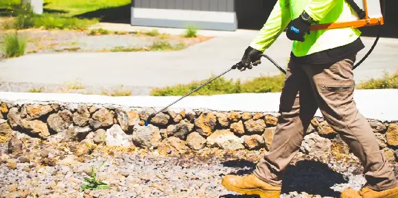 kona-landscape-pest-control A groundskeeper wearing safety gloves and a yellow shirt uses a backpack sprayer for weed control and pest management in Kailua-Kona, Hawaii.