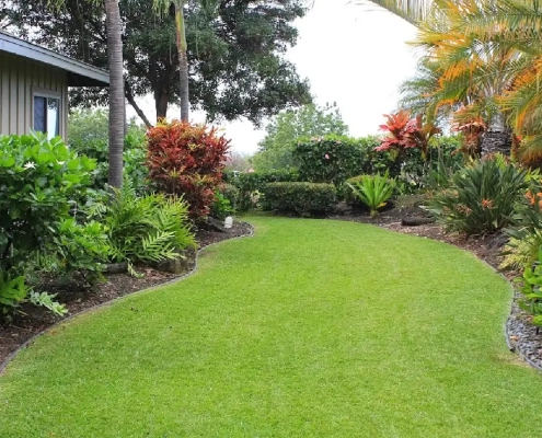 Curved grass lawn bordered by tropical plant beds containing directional sprinkler heads and drip irrigation on a Big Island property.