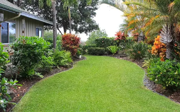Curving green lawn leads between layered beds of crotons, shrubs, and palms beside a single-story home, a tidy example of energy-saving landscaping on the Big Island of Hawaii.