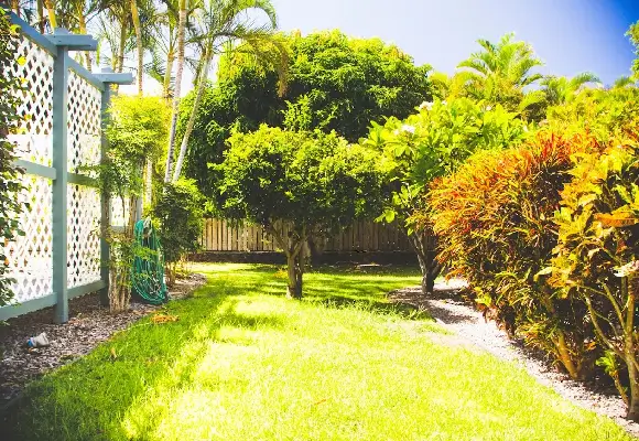 Tropical backyard with shade trees, croton hedges, and a gravel-edged planting bed, the kind of layered greenery Aina-Landscaping recommends.